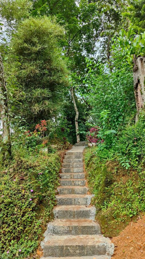 Pepper County Farm Stay Munnar Eksteriør billede
