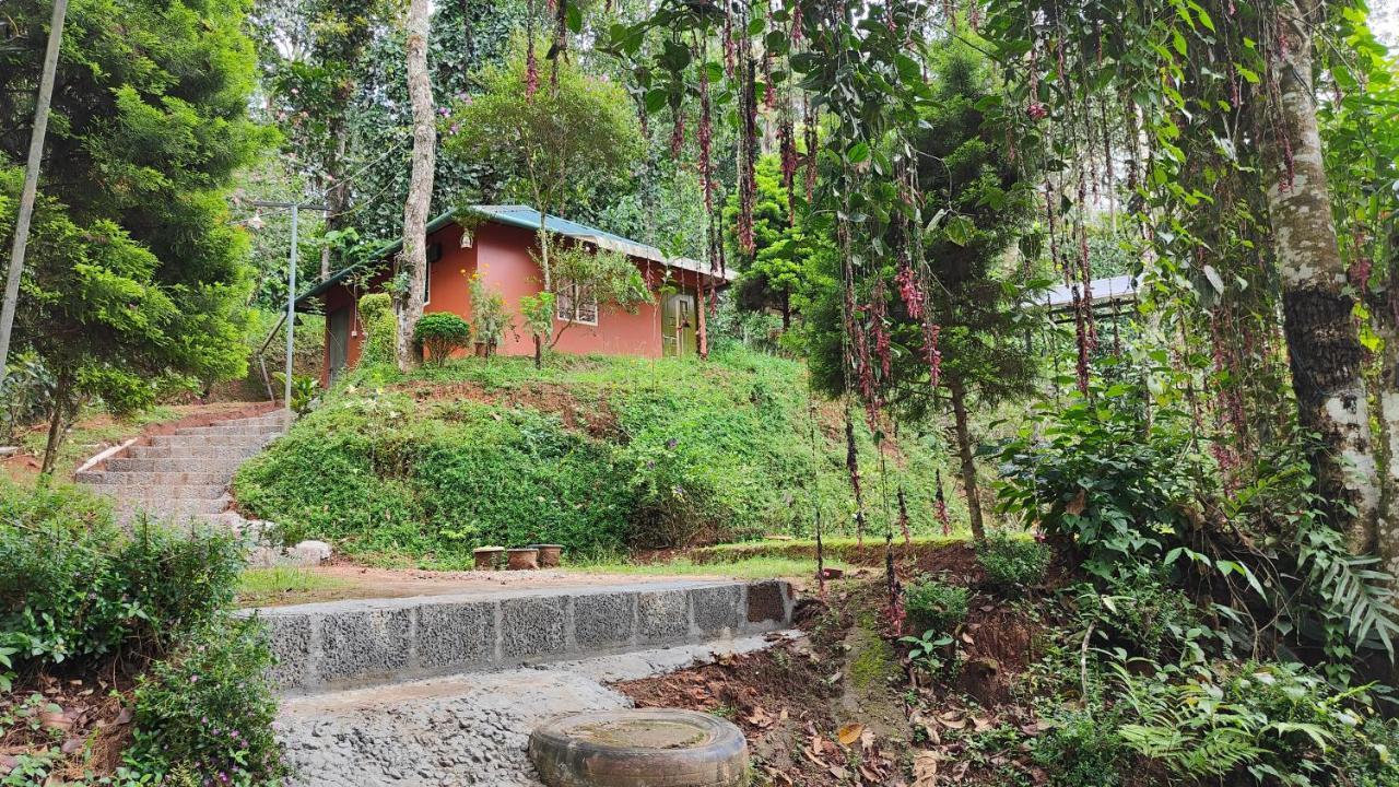 Pepper County Farm Stay Munnar Eksteriør billede