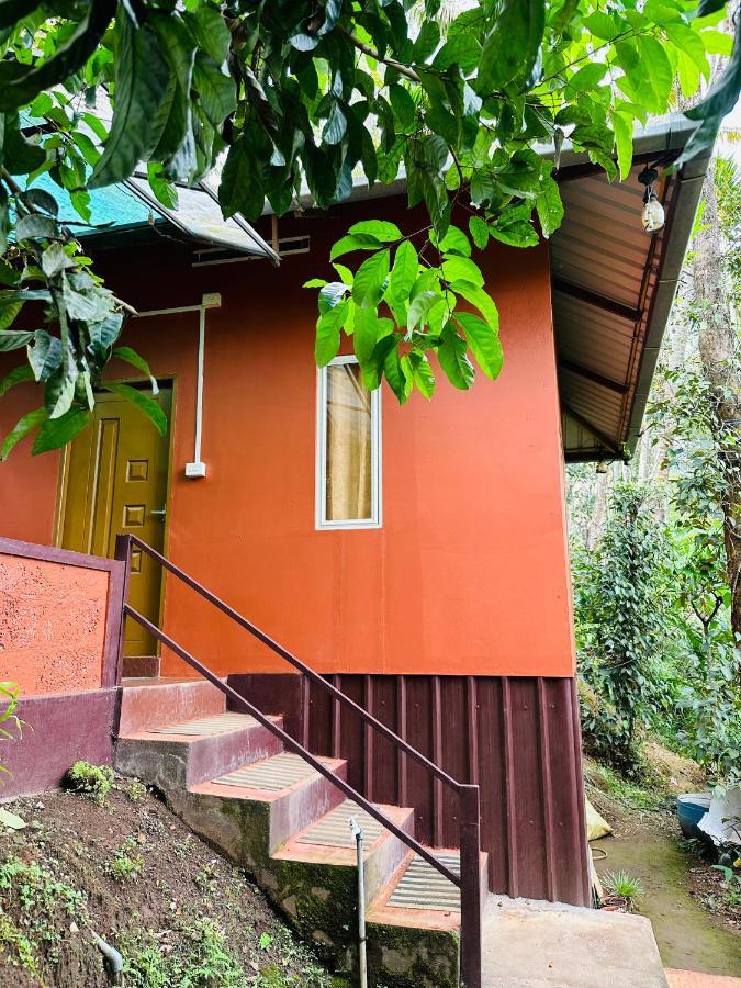 Pepper County Farm Stay Munnar Eksteriør billede