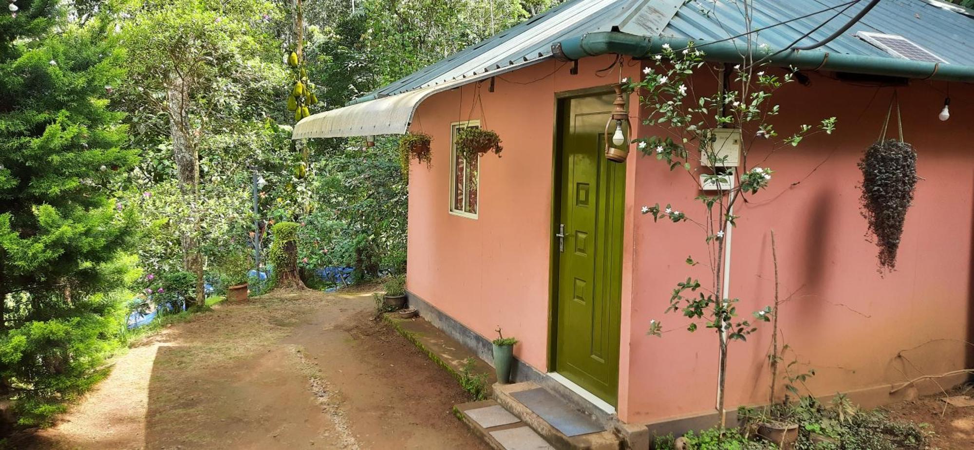 Pepper County Farm Stay Munnar Værelse billede