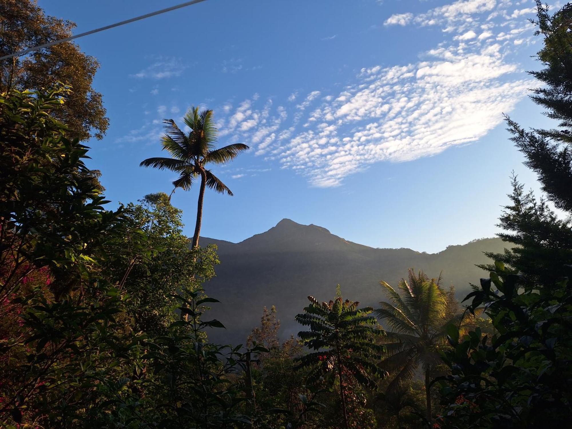 Pepper County Farm Stay Munnar Eksteriør billede