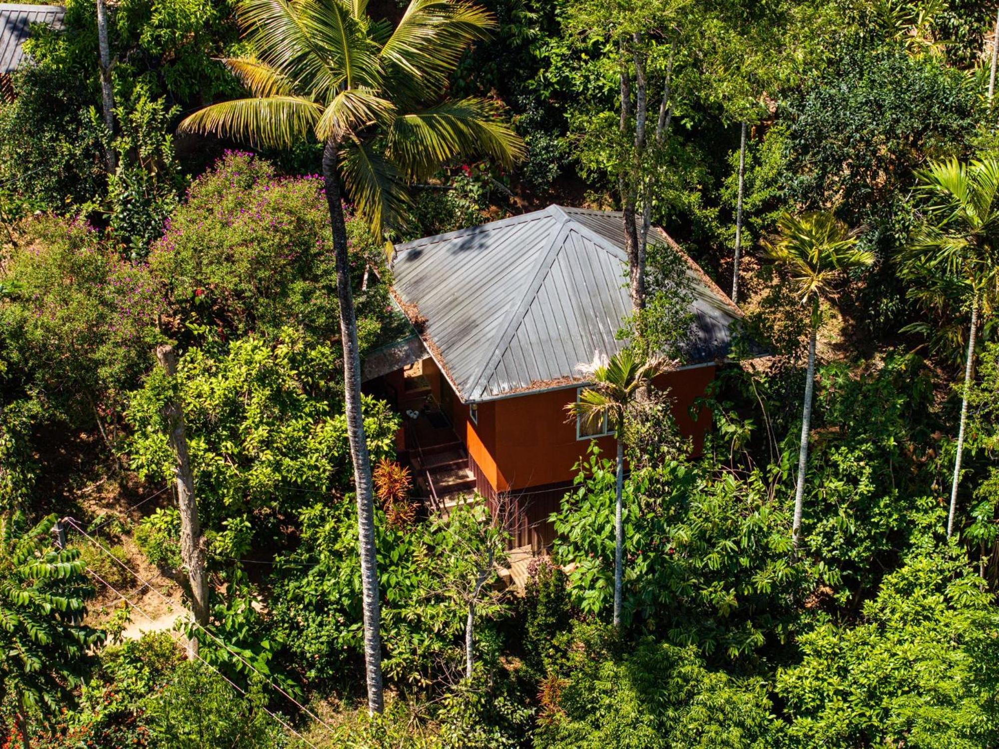 Pepper County Farm Stay Munnar Eksteriør billede