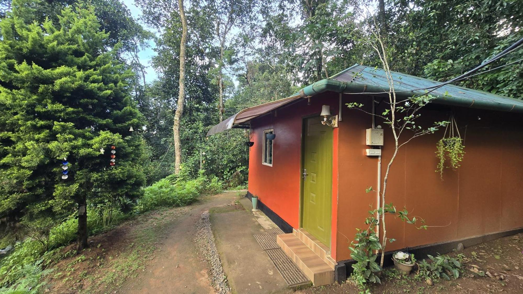 Pepper County Farm Stay Munnar Værelse billede