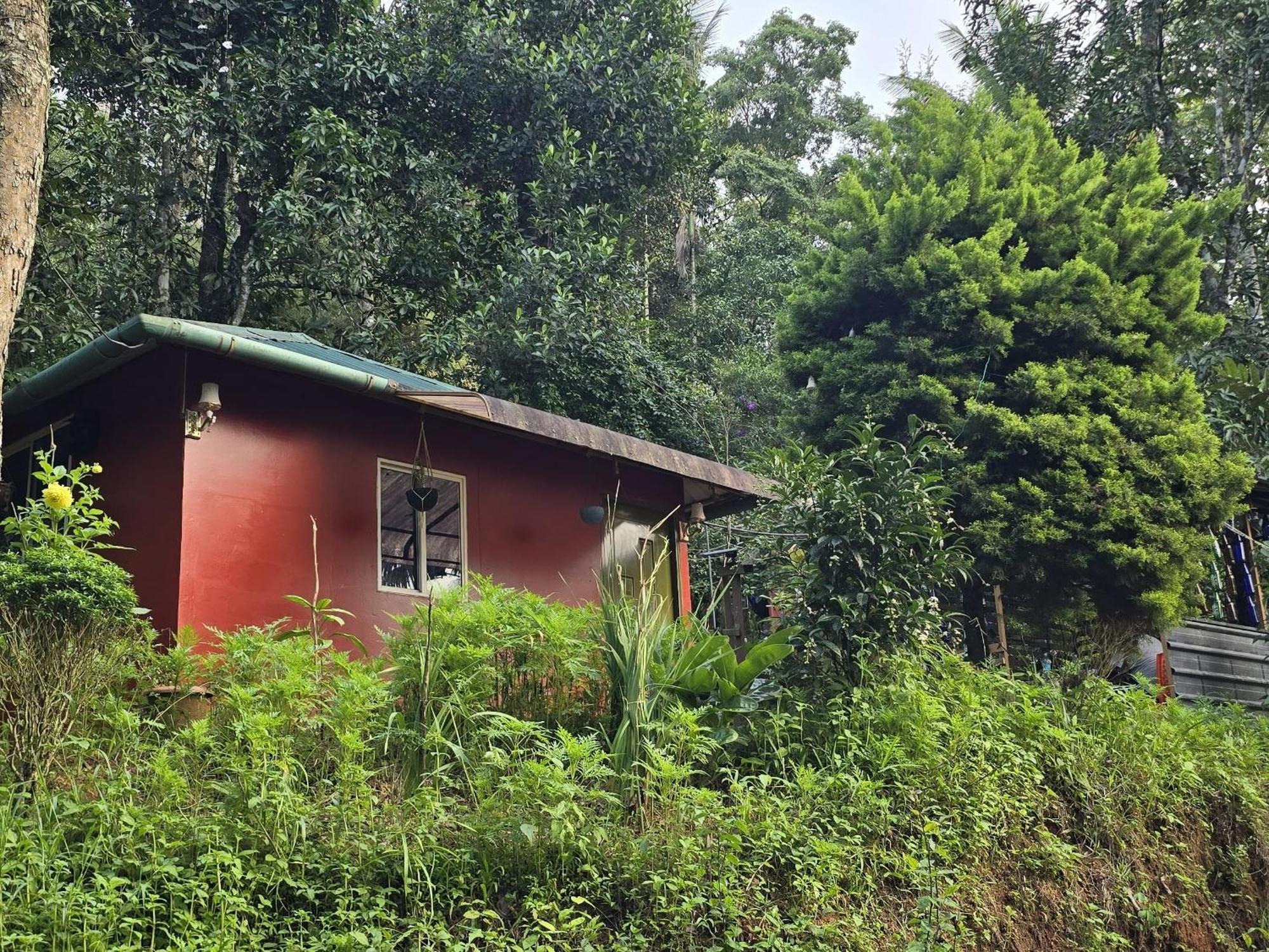 Pepper County Farm Stay Munnar Værelse billede