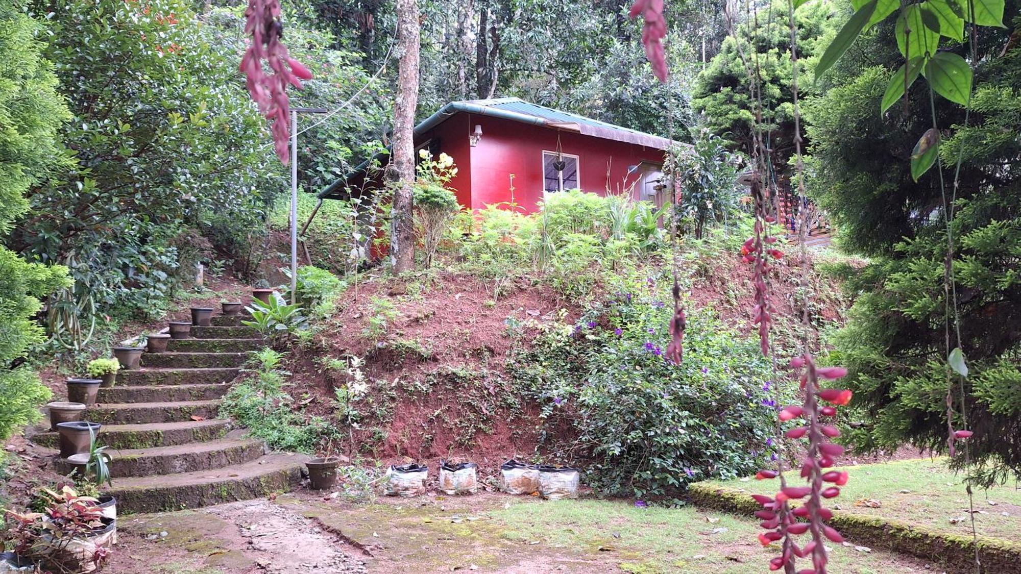 Pepper County Farm Stay Munnar Eksteriør billede