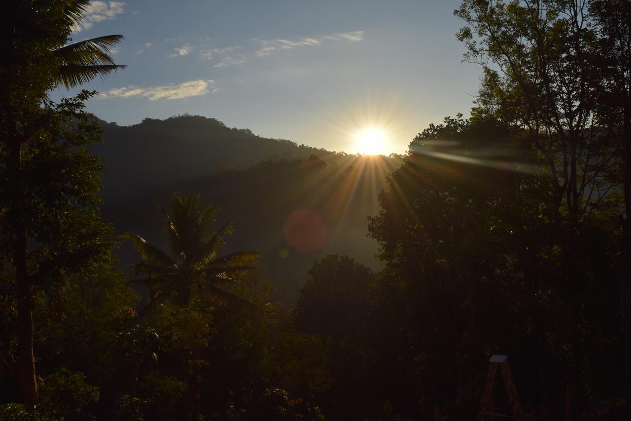 Pepper County Farm Stay Munnar Eksteriør billede