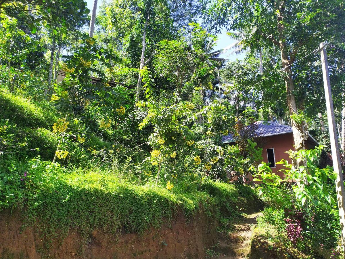Pepper County Farm Stay Munnar Eksteriør billede