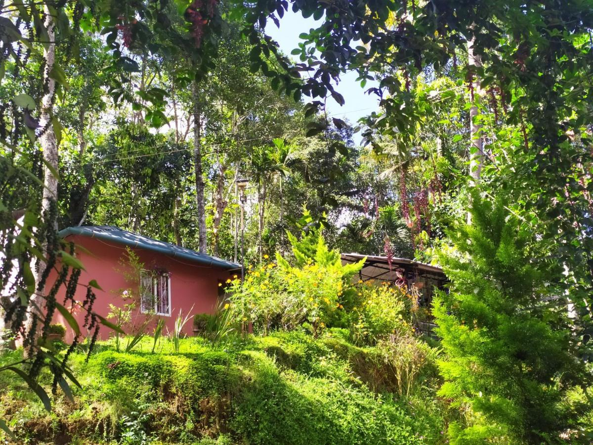 Pepper County Farm Stay Munnar Eksteriør billede