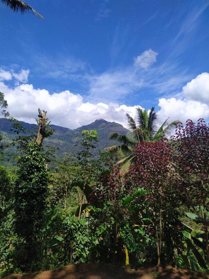 Pepper County Farm Stay Munnar Eksteriør billede
