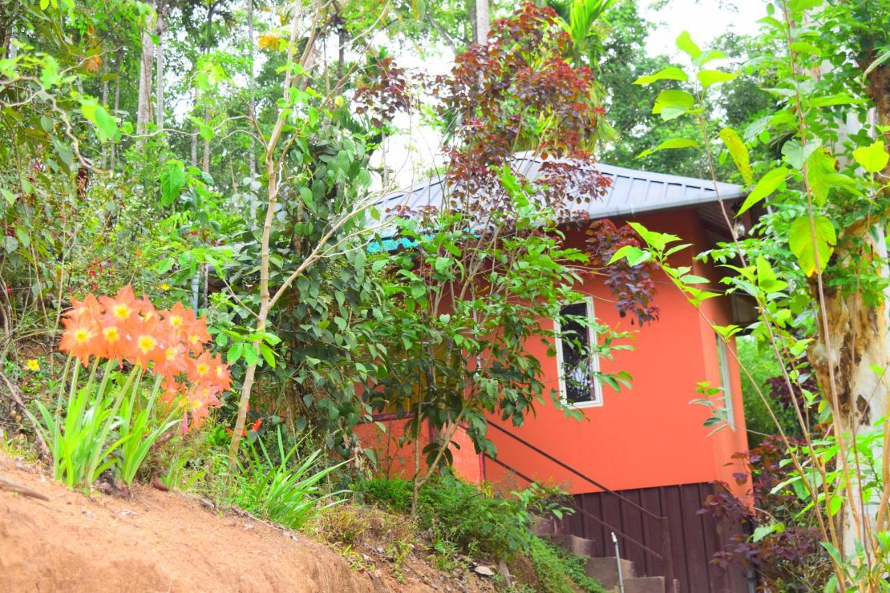 Pepper County Farm Stay Munnar Eksteriør billede